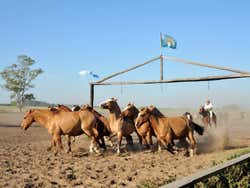 Festa Gaucha nella Villa di Santa Susana