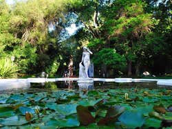 Giardino Botanico di Buenos Aires
