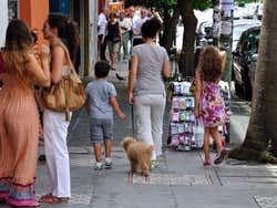 Percorrendo Palermo